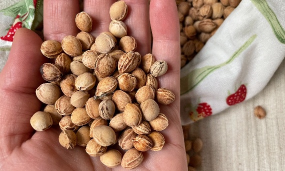 Pestki wiśni – naturalne ciepło i chłód w jednym produkcie